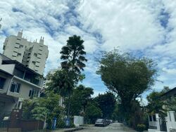 Greendale Avenue (D11), Semi-Detached #496541441